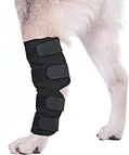 Canine hock brace