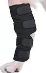 Canine hock brace