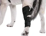 Dog hock brace