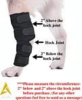 Dog hock brace