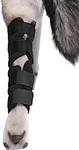 Dog hock brace